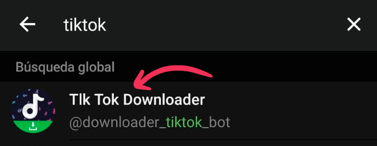Tik Tok Downloader Telegram